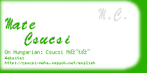 mate csucsi business card